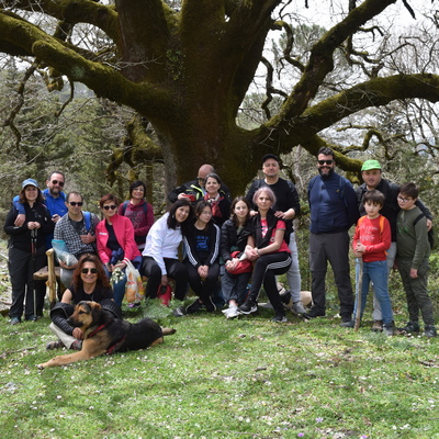 Trekking nel bosco di Calatamauro