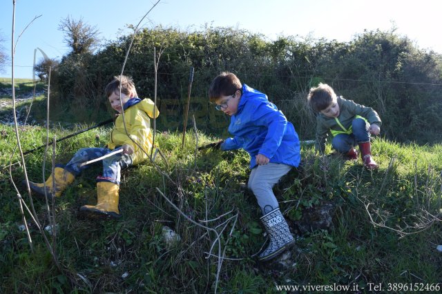 Escursioni per bambini e scolaresche